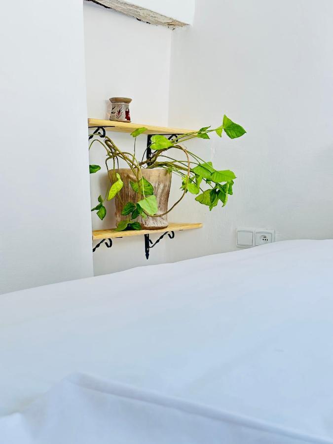 Ocean View House Apartment Essaouira Ngoại thất bức ảnh